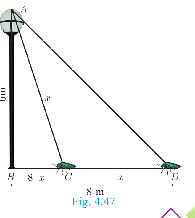 Fig. 4.47