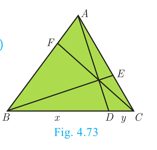 Fig. 4.73