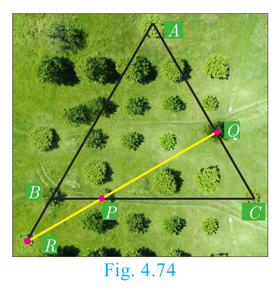 Fig. 4.74