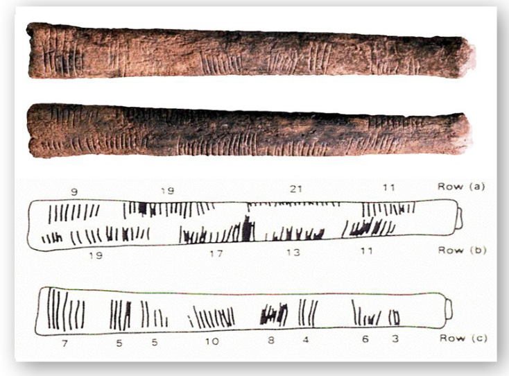Fig. 2.1 Number carvings in Ishango Bone