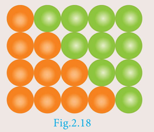 Fig. 2.18