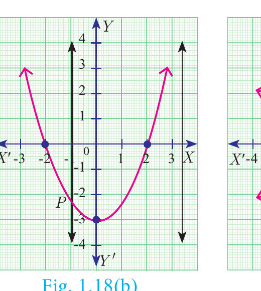 Fig. 1.18(b)