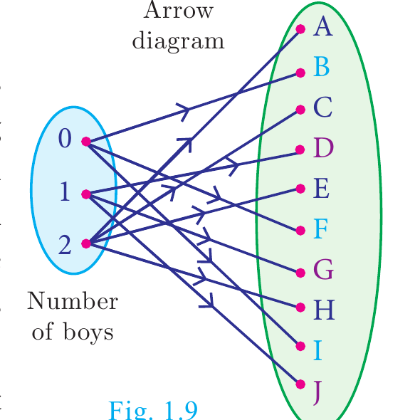 Fig. 1.9