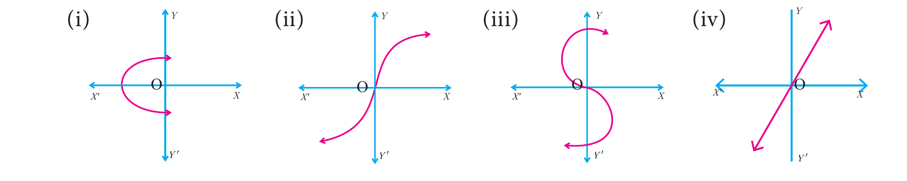 Graphs (i)-(iv) for Exercise 1.4 Q1