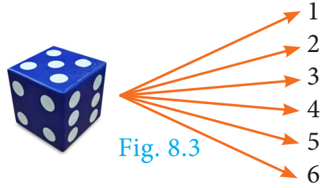 Fig. 8.3