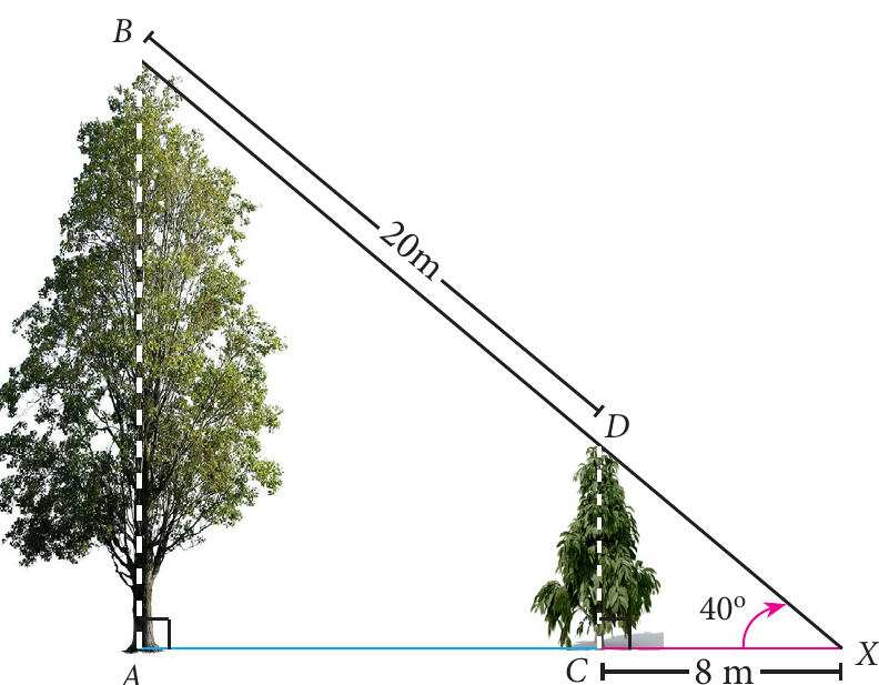 Fig. 6.19
