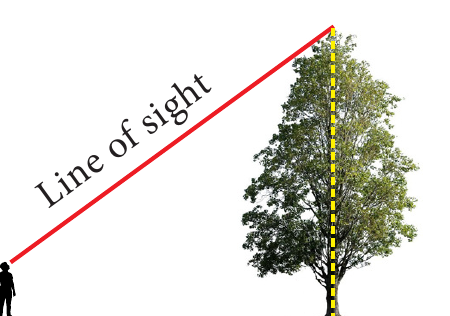 Fig. 6.5