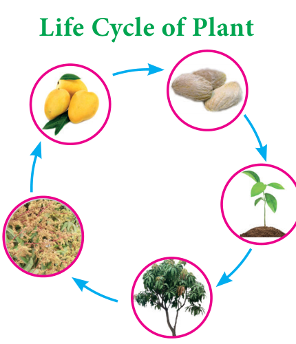 image-2-6.png