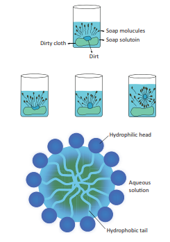 Figure 11.3: Cleansing action of soap