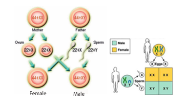 Figure 18.9: