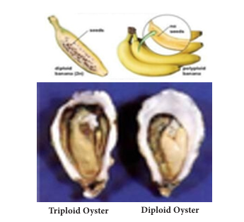 Figure 18.10: