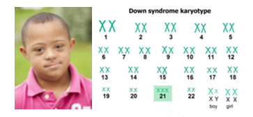 Figure 18.11: