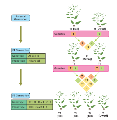 Figure 18.1: