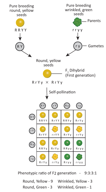 Figure 18.2: