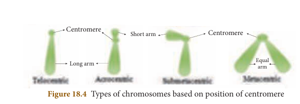 Figure 18.4: