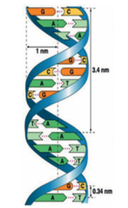 Figure 18.6:
