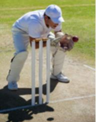 Figure 1.6: Example of impulsive force