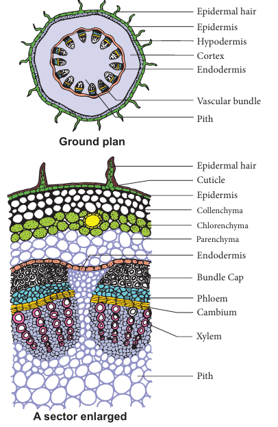 Figure 12.4: