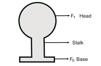 Figure 12.11: