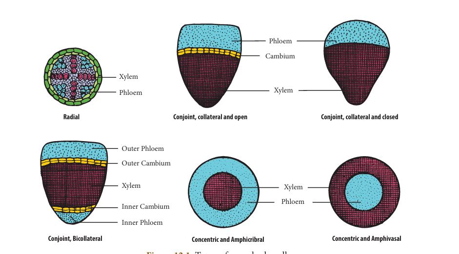 Figure 12.1: