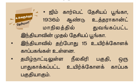 வன உயிரினங்களின் பாதுகாப்பு