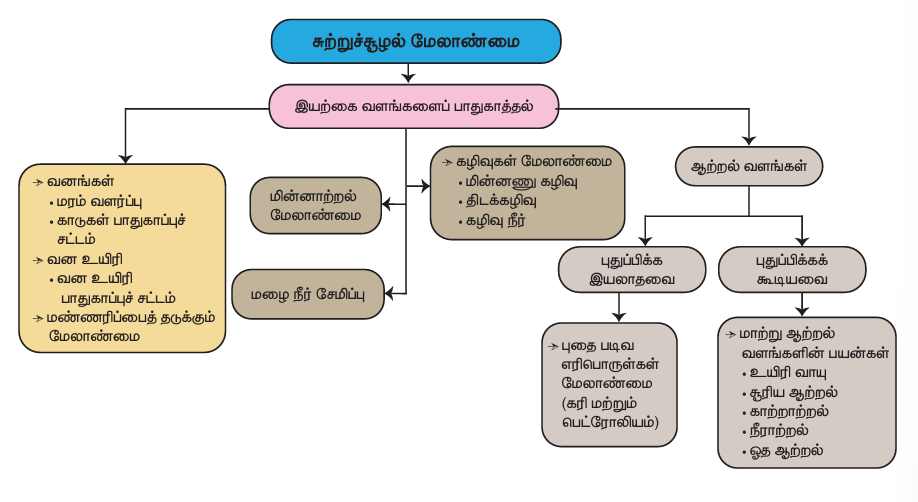 கருத்து வரைபடம் - சுற்றுச்சூழல் மேலாண்மை