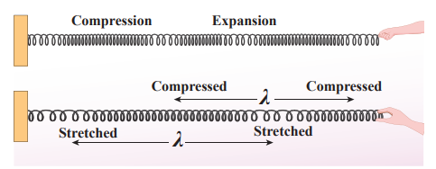 Figure 11.12 Wavelength for longitudinal waves