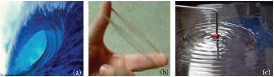 Figure 11.2 Waves formed in (a) ocean, (b) standing waves in plucking rubber band and (c) ripples formed on water surface