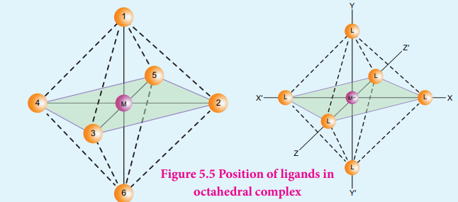 Figure 5.5 Position of ligands in
octahedral complex