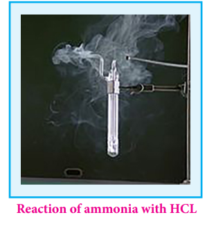 Reaction of ammonia with HCL