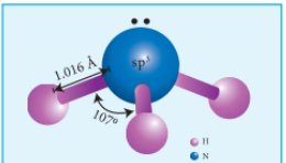 Figure 3.1: Structure of ammonia