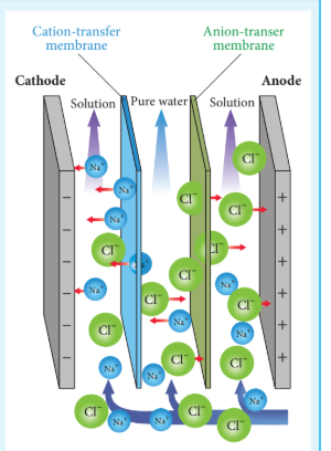 Figure 10.11 Electro Dialysis