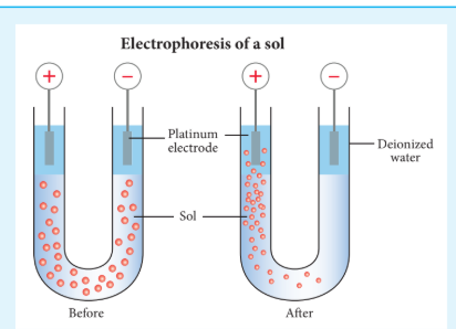 Figure 10.15 Electrophoresis