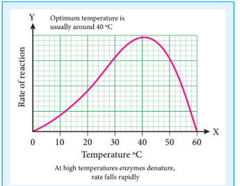 Figure 10.6 Rate vs Temperature