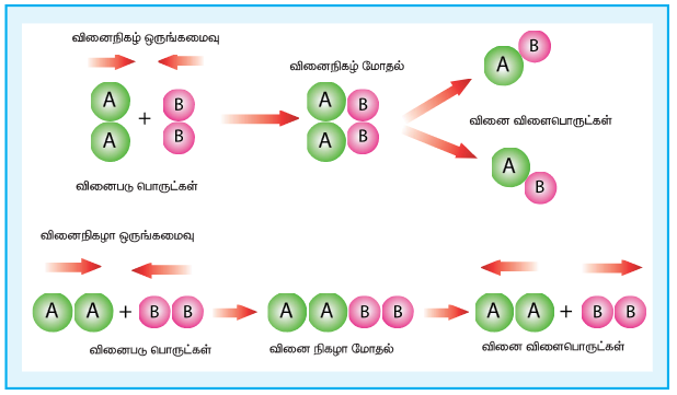 படம் 7.6 வினைபடு பொருட்களின் திசை அமைவு- திட்ட மாதிரி வரைபடம்