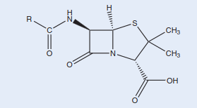 பென்சிலின்கள்