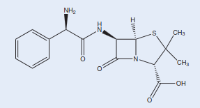 ஆம்பிசிலின்