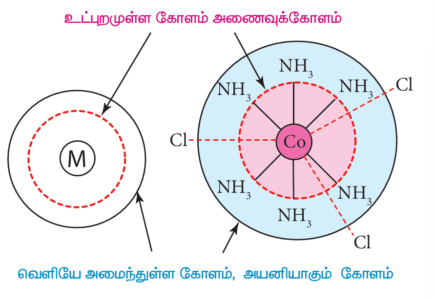 படம் 5.1 அணைவுச் சேர்மங்களில் காணப்படும் உள் மற்றும் வெளி ஈர்ப்புக்கோளங்கள்