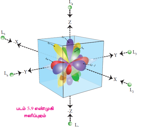படம் 5.9 எண்முகி ஈனிப்புலம்