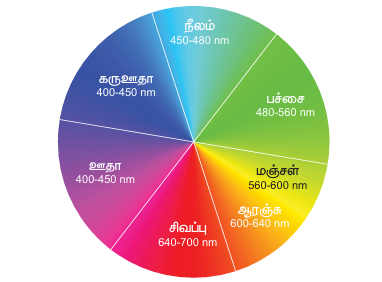 படம் 5.15 நிற சக்கரம்– நிரப்பு நிறம் அதற்கு எதிரே காட்டப்பட்டுள்ளது.