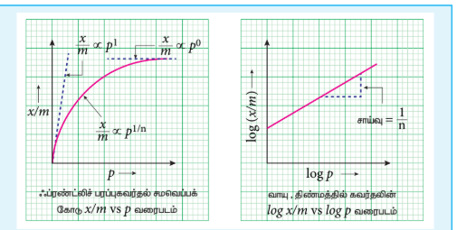 10.2 log\(\frac{x}{m}\) vs log p வரைபடம்