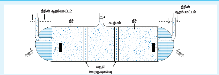 படம் 10.16 மின்னாற் சவ்வூடு பரவல்
