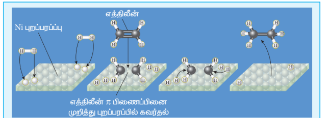 படம் 10.3 Ni வினைவேகமாற்றி முன்னிலையில் எத்திலினின் ஹைட்ரோஜனேற்றம்