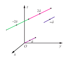 Fig. 6.3