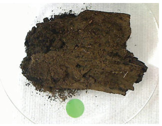 Figure (b) – Charcoal which was sent for carbon dating