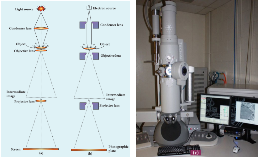 Figure 8.19 (a) Optical microscope (b) Electron microscope (c) Photograph of electron
microscope