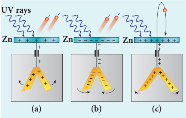 Figure 8.6 Irradiation of ultraviolet light
on (a) uncharged zinc plate (b) negatively
charged plate (c) positively charged plate