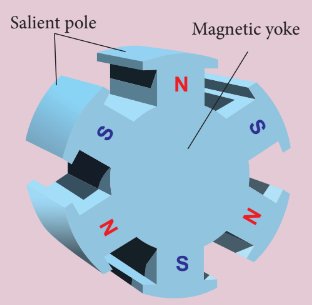 Figure(d): 6-pole rotor