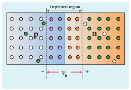 Figure 10.10 Barrier potential formed across the junction