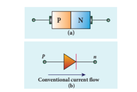 Figure 10.11 p-n junction diode (a) Schematic representation (b) Circuit symbol